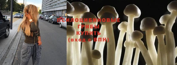 каннабис Аркадак