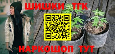 молекула духа Рузаевка