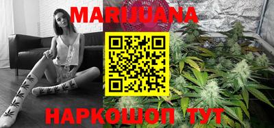 гидра Рязань