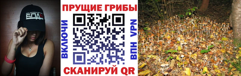 Псилоцибиновые грибы прущие грибы хочу наркоту МЕГА Спасск-Дальний