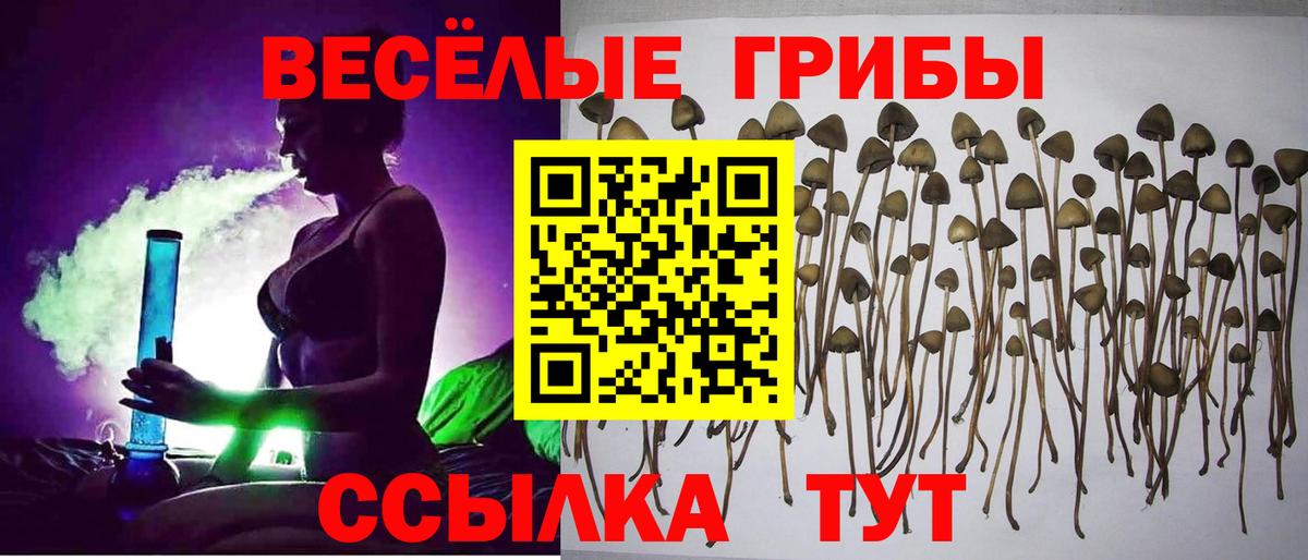 Псилоцибиновые грибы прущие грибы  Вход с VPN  Галлюциногенные грибы GOLDEN TEACHER  Спасск-Дальний 
